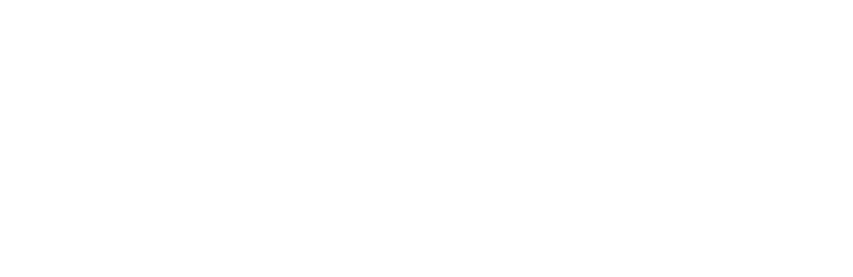 Araujo's Mexican Grill