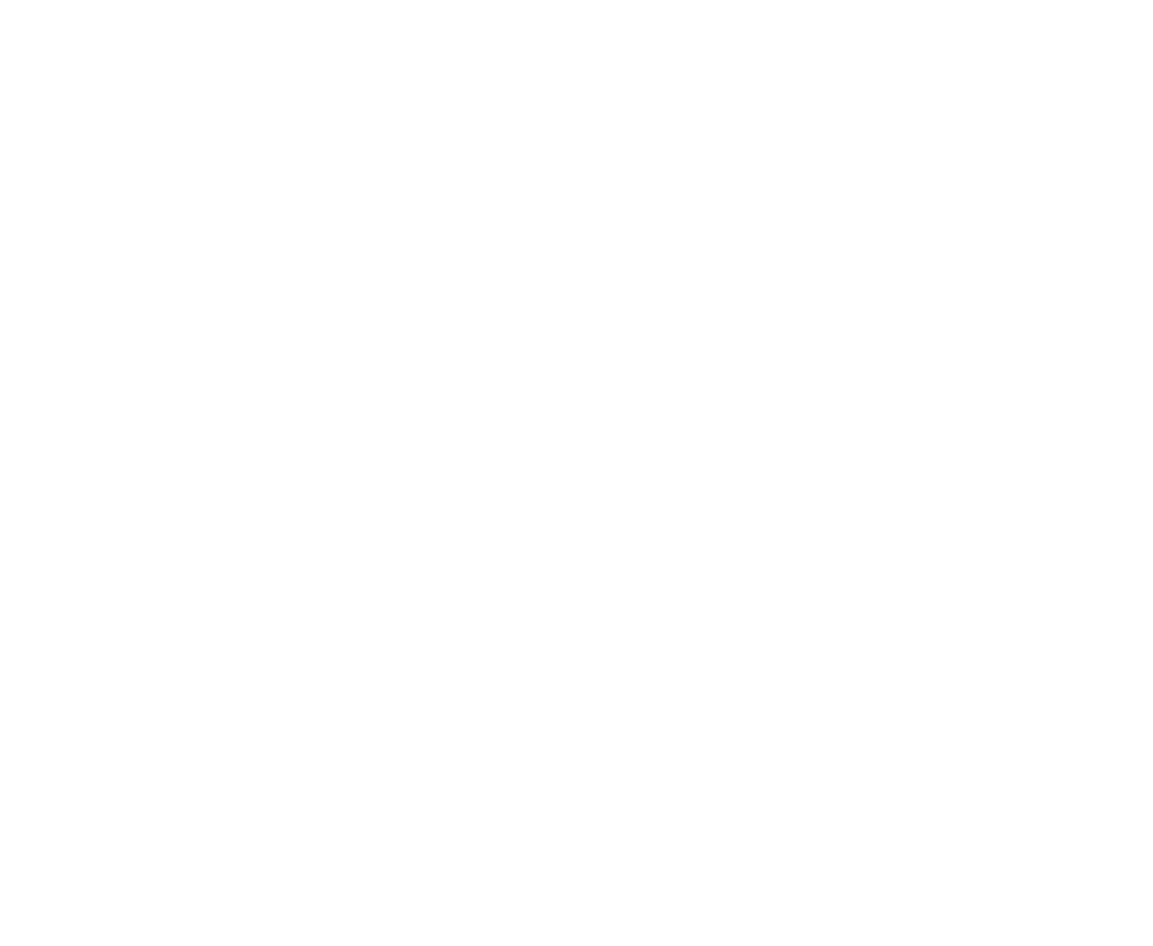 Araujo's Mexican Grill